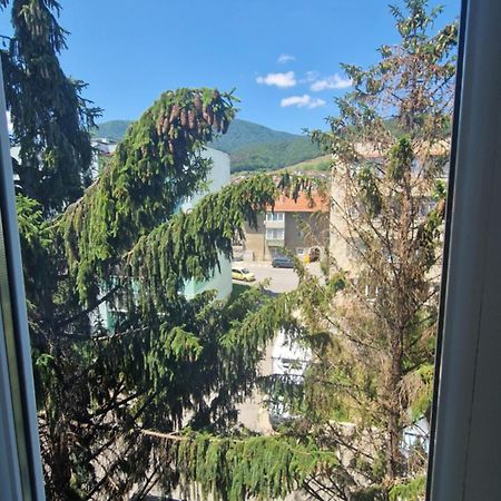 Apartament Coco Кодлеа Екстериор снимка