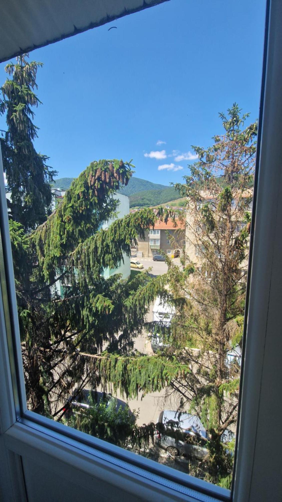 Apartament Coco Кодлеа Екстериор снимка